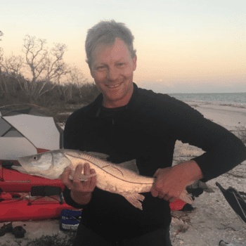 Making Parks for Animals